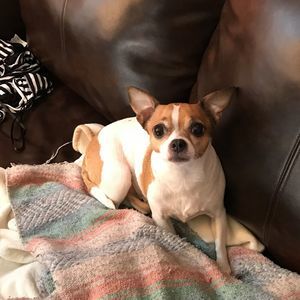 Meet your Posher, Maureen